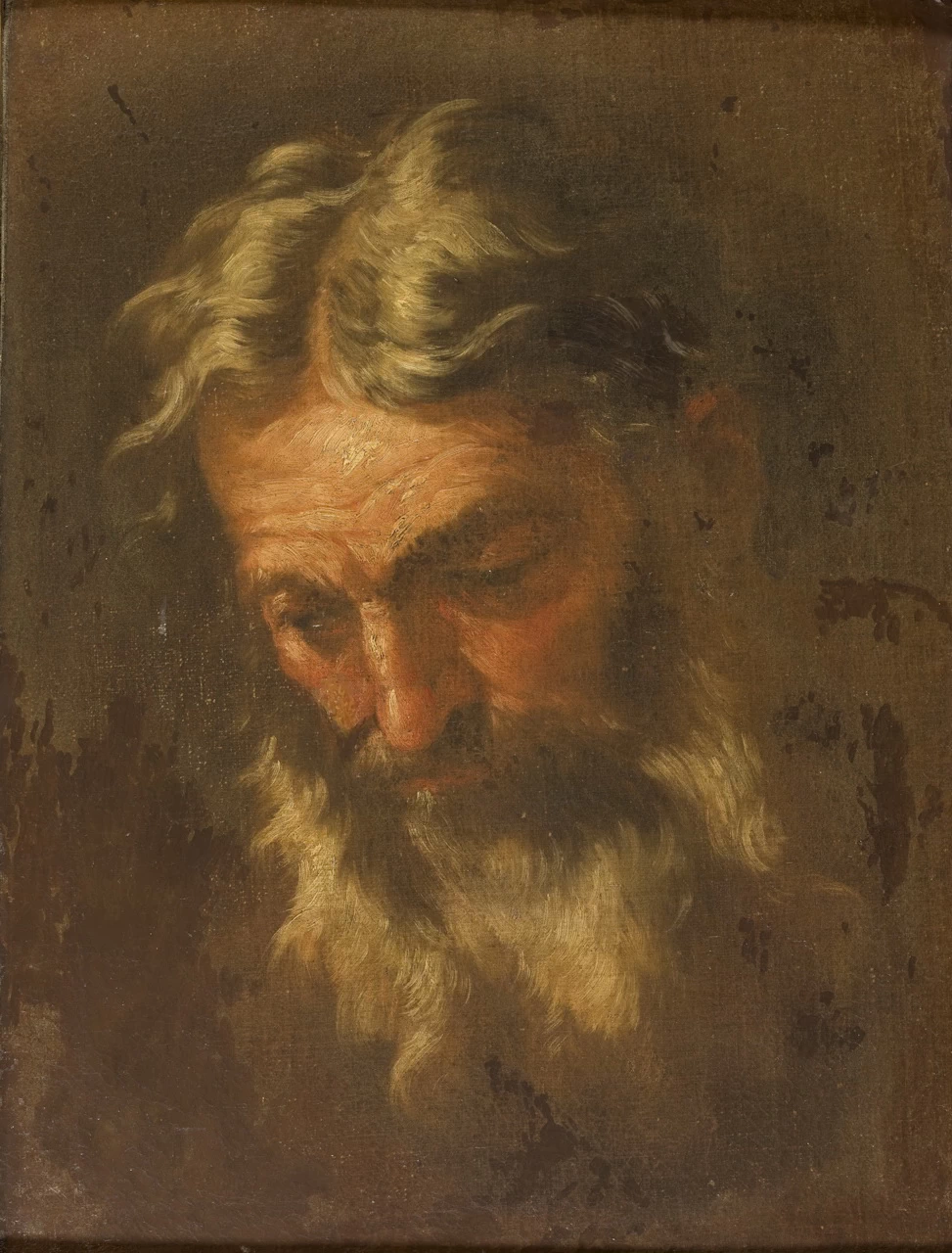 Testa di vecchio - Capodimonte